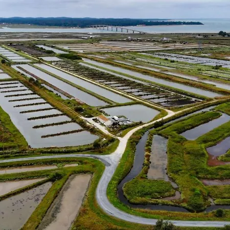 홈스테이 Maison Garesche - Gite De Charme Au Coeur Des Marais De La Seudre