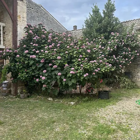 Maison Garesche - Gite De Charme Au Coeur Des Marais De La Seudre * Nieulle-sur-Seudre