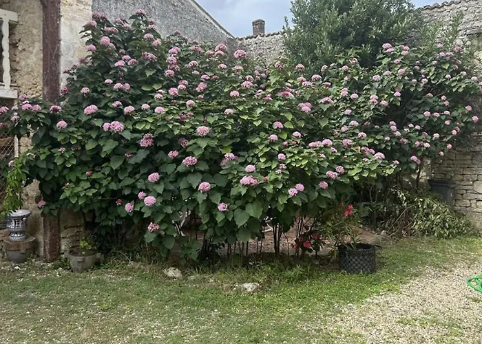 Maison Garesche - D'hotes De Charme Avec Table D'hotes * Nieulle-sur-Seudre
