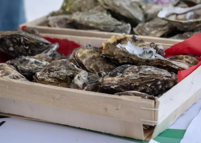 Habitación en casa particular Maison Garesché - D'hôtes De Charme Avec Table D'hôtes Nieulle-sur-Seudre